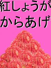 からあげ専門店 から一