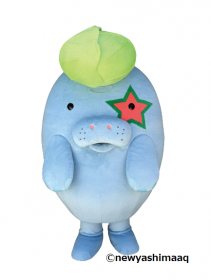 マナやんがやってくる!