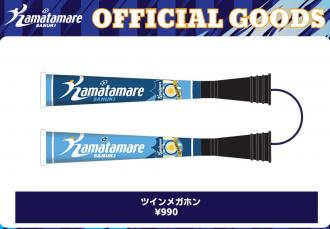 ツインメガホン