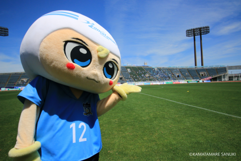 さぬぴーのお散歩