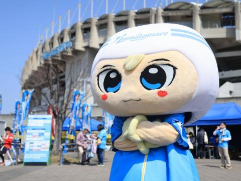 さぬぴーのお散歩
