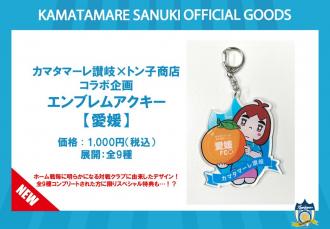 カマタマーレ讃岐×トン子商店コラボ企画 エンブレムアクキー【愛媛】