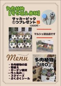 「多肉植物の寄せ植え体験」  〜IRO〜