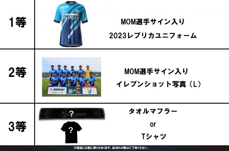 カマタマーレ讃岐 ホーム ゲームシャツ - 応援グッズ