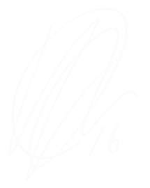 渡辺 健太 選手 Team カマタマーレ讃岐オフィシャルサイト